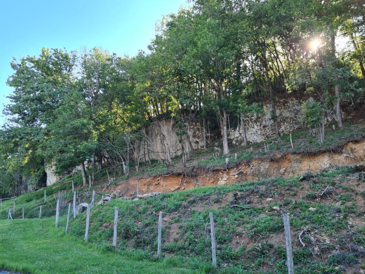 Le Sechoir Des Acacias, Gite: Les Falaises Apartment Saint-Leon-sur-Vezere Exterior photo